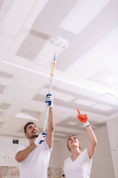 Best Attic Mold Removal  in North Granby, CT