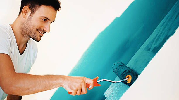 Best Black Mold Removal  in North Granby, CT